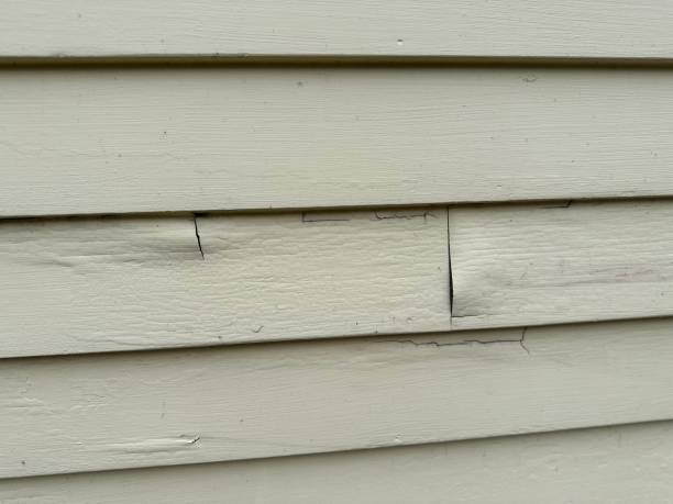 Best Fiber Cement Siding Installation  in Teviston, CA